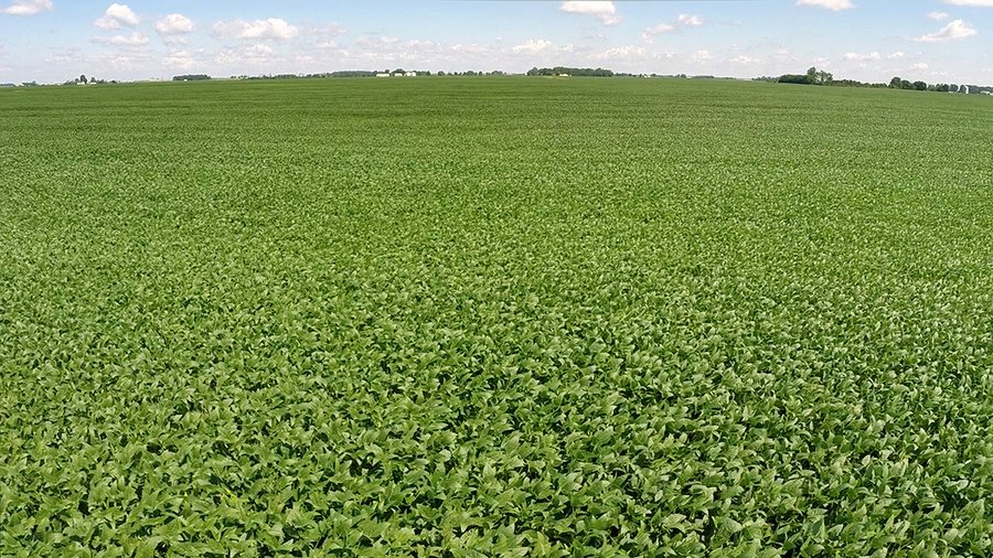 PRIME FARMLAND AUCTION - 716+/- ACRES OFFERED IN 8 TRACTS IN CASS & CARROLL COUNTIES